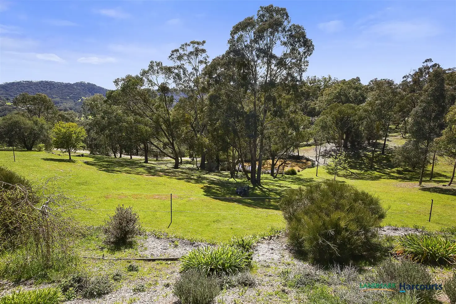 Main view of Homely house listing, 167 Ti Tree Drive, Eildon VIC 3713