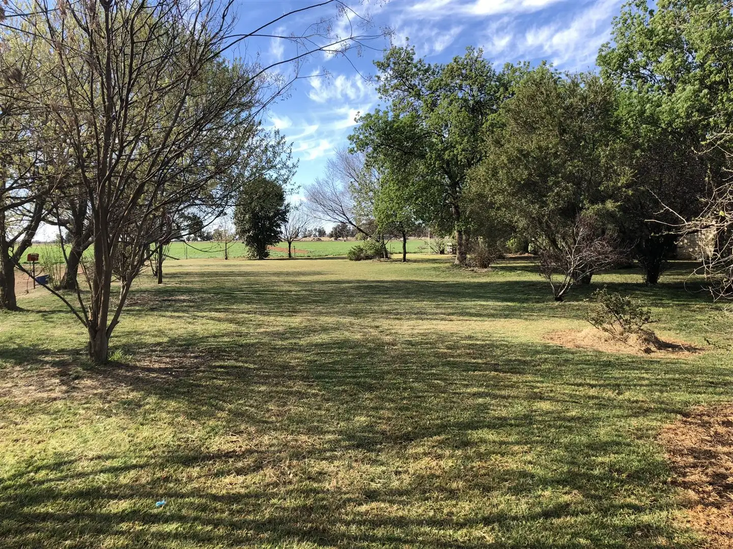 Main view of Homely rural property listing, . Beranice, Deniliquin NSW 2710