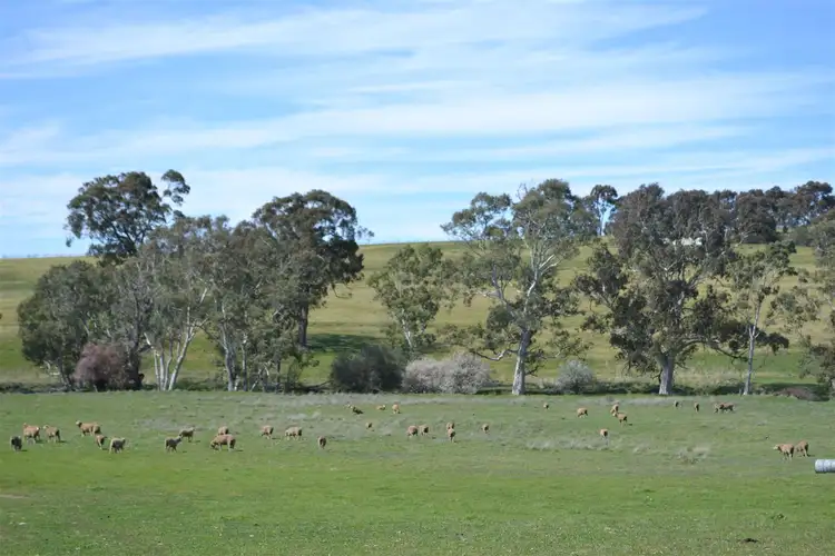 Lot 68 Spring Gully Road, Clare SA 5453