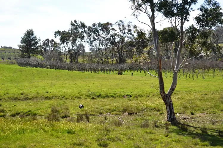Seventh view of Homely rural property listing, Lot 68 Spring Gully Road, Clare SA 5453