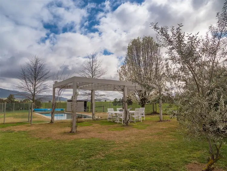 Seventh view of Homely rural property listing, 98 Switchback Road, Mudgegonga VIC 3737