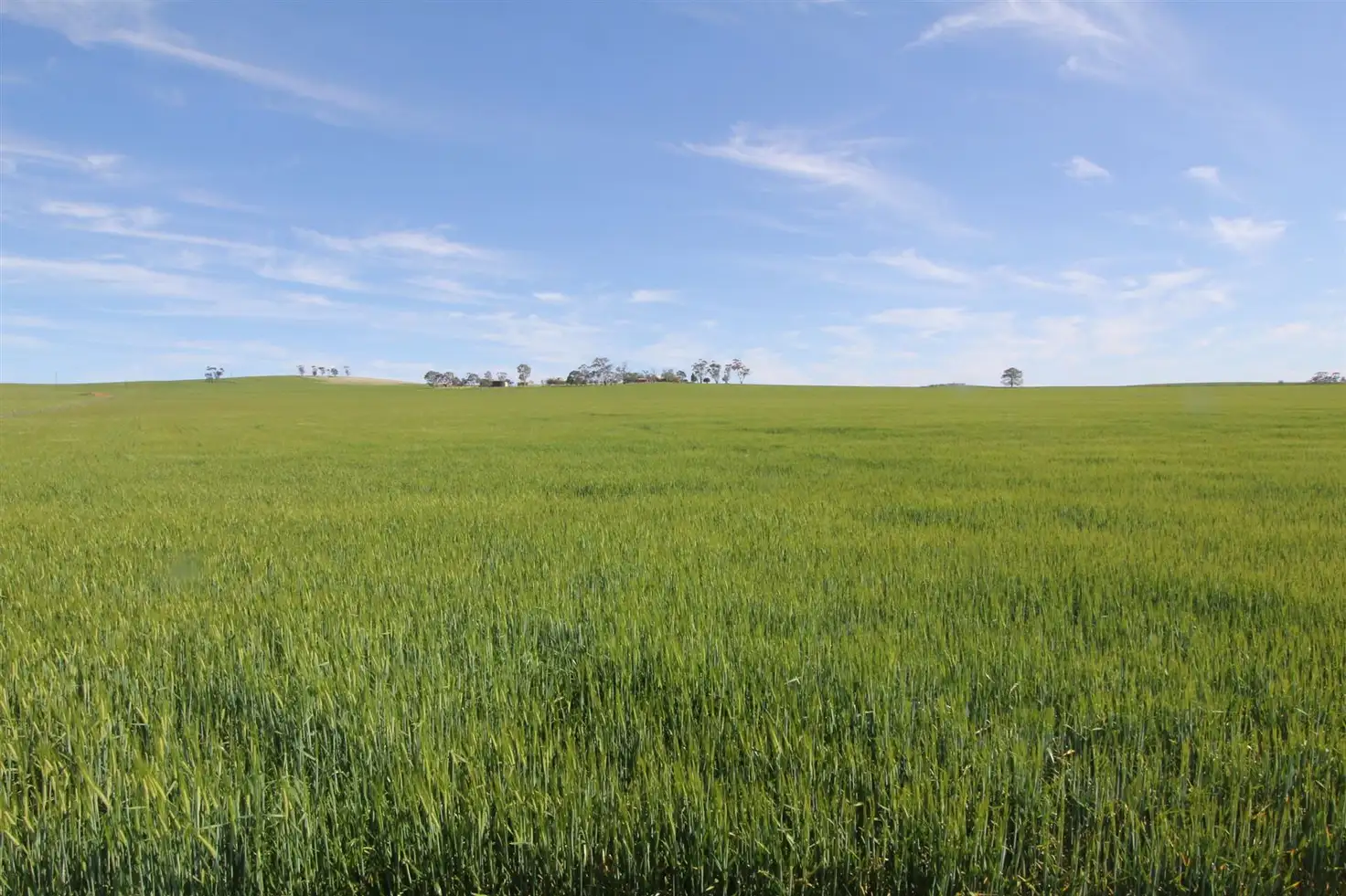 Main view of Homely rural property listing, 149 Fogarty Road, Georgetown SA 5472