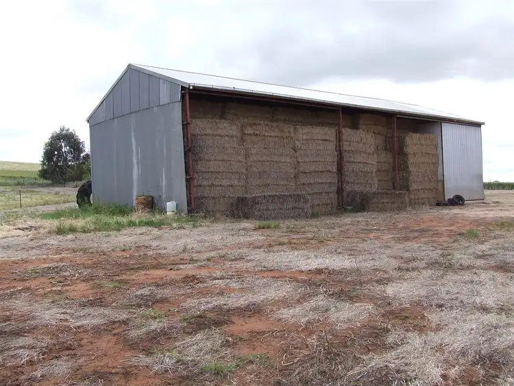 Fourth view of Homely rural property listing, 149 Fogarty Road, Georgetown SA 5472
