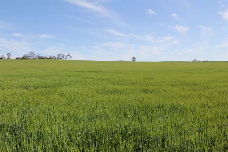 Sixth view of Homely rural property listing, 149 Fogarty Road, Georgetown SA 5472