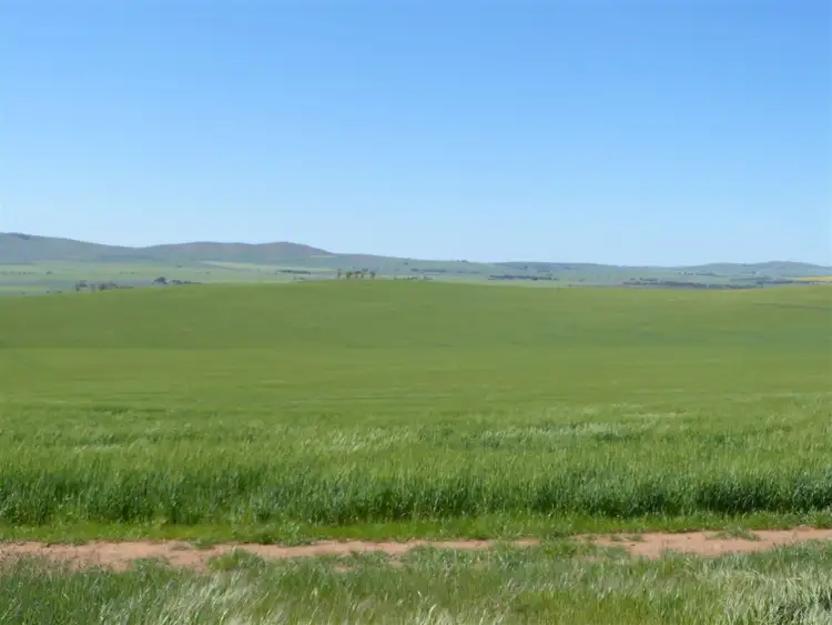 Seventh view of Homely rural property listing, 149 Fogarty Road, Georgetown SA 5472