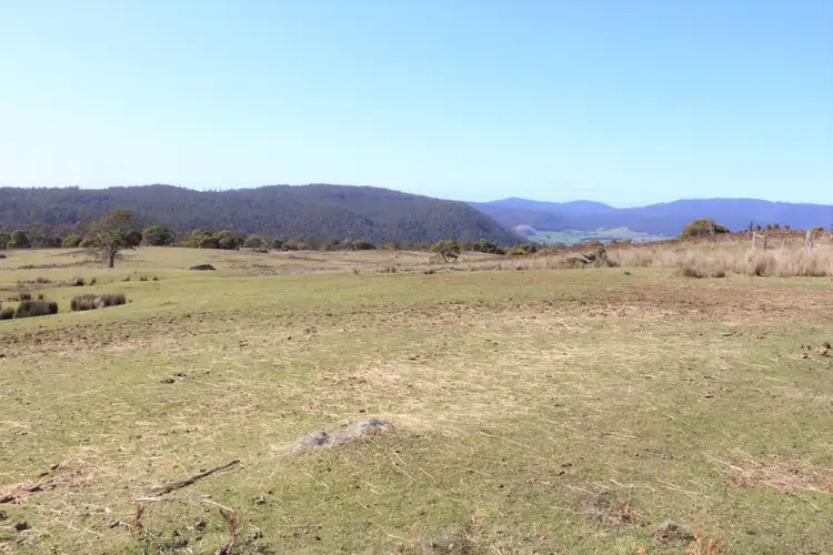 Second view of Homely rural property listing, . Tasman Highway "Little Plains", Pyengana TAS 7216