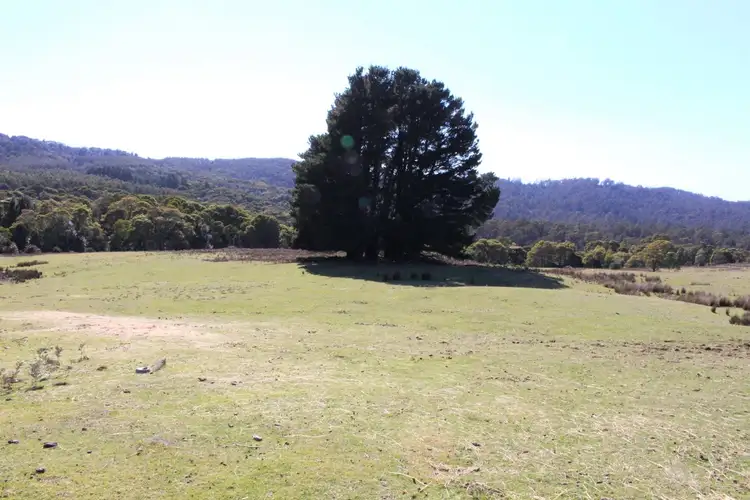 Sixth view of Homely rural property listing, . Tasman Highway "Little Plains", Pyengana TAS 7216