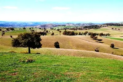 473 Eldridges Lane, Taylors Flat, Boorowa NSW 2586
