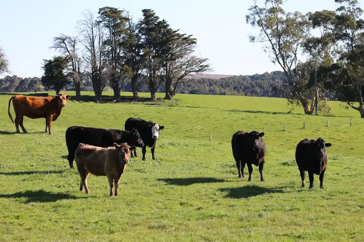 Second view of Homely rural property listing, 605 Korumburra-Warragul Road, Korumburra VIC 3950