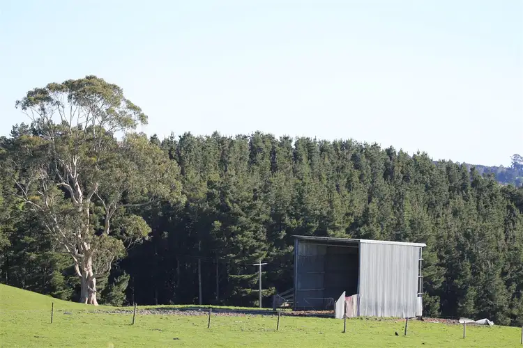 Third view of Homely rural property listing, 605 Korumburra-Warragul Road, Korumburra VIC 3950