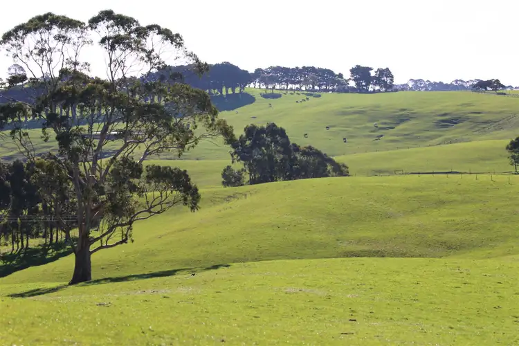 Fourth view of Homely rural property listing, 605 Korumburra-Warragul Road, Korumburra VIC 3950