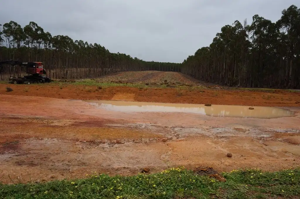 Main view of Homely rural property listing, Address available on request