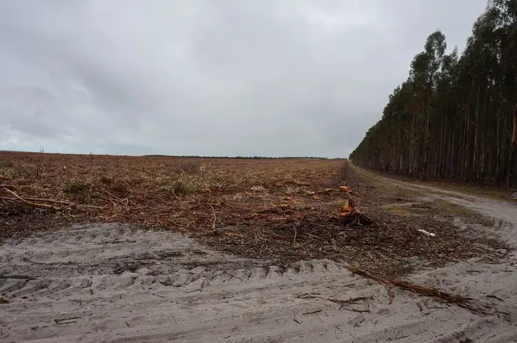 Second view of Homely rural property listing, Address available on request