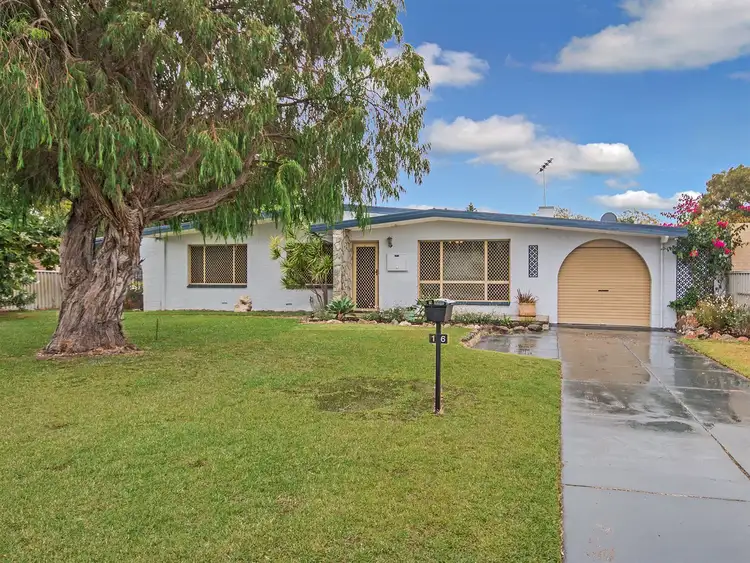 16 Mensa Close, Rockingham WA 6168