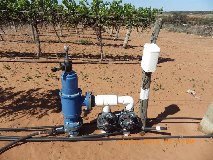 Seventh view of Homely rural property listing, S209 Caddy Road, Loveday SA 5345