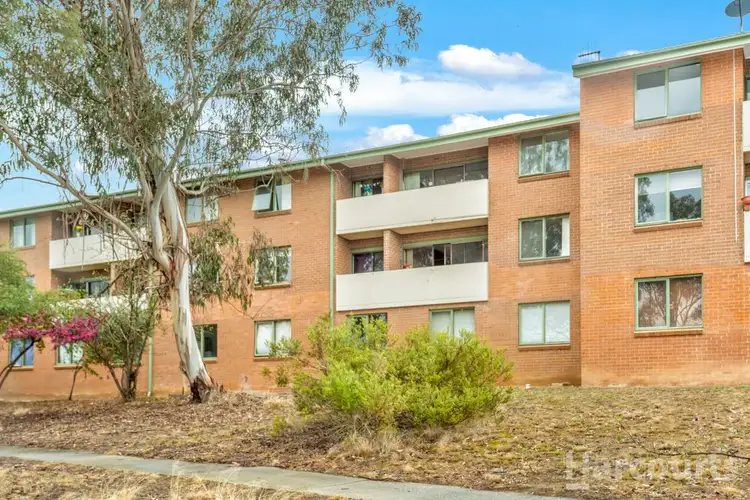Second view of Homely unit listing, 17/26 Springvale Drive, Hawker ACT 2614