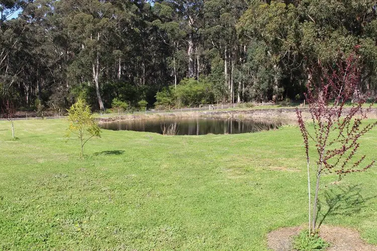 Fifth view of Homely rural property listing, 446 Ipsen Street, Manjimup WA 6258
