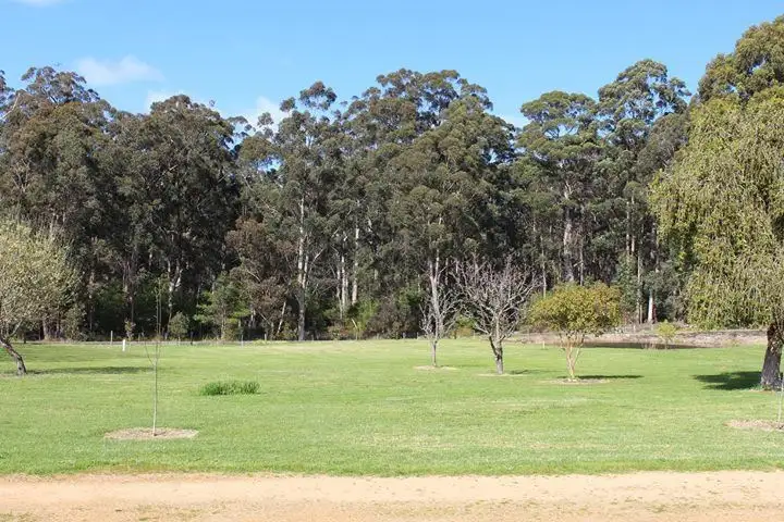 Sixth view of Homely rural property listing, 446 Ipsen Street, Manjimup WA 6258
