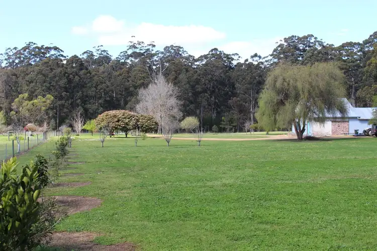 Seventh view of Homely rural property listing, 446 Ipsen Street, Manjimup WA 6258
