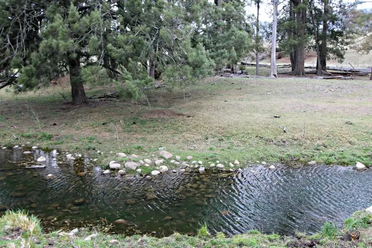Third view of Homely rural property listing, 600 Neringla Road, Araluen NSW 2622