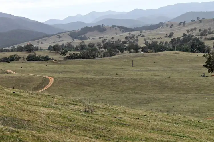 Fourth view of Homely rural property listing, 600 Neringla Road, Araluen NSW 2622