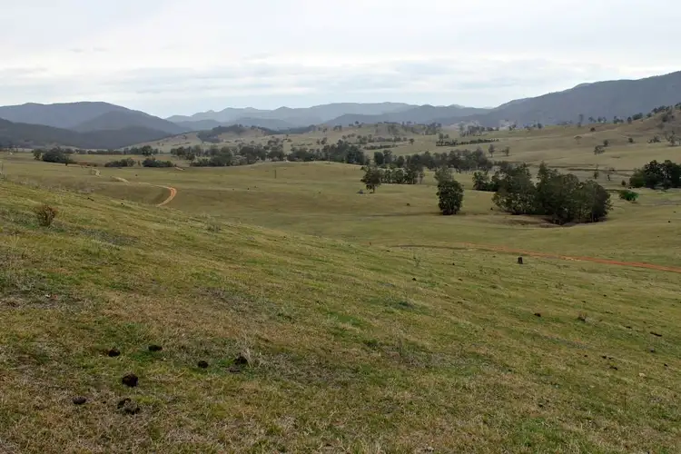 Fifth view of Homely rural property listing, 600 Neringla Road, Araluen NSW 2622
