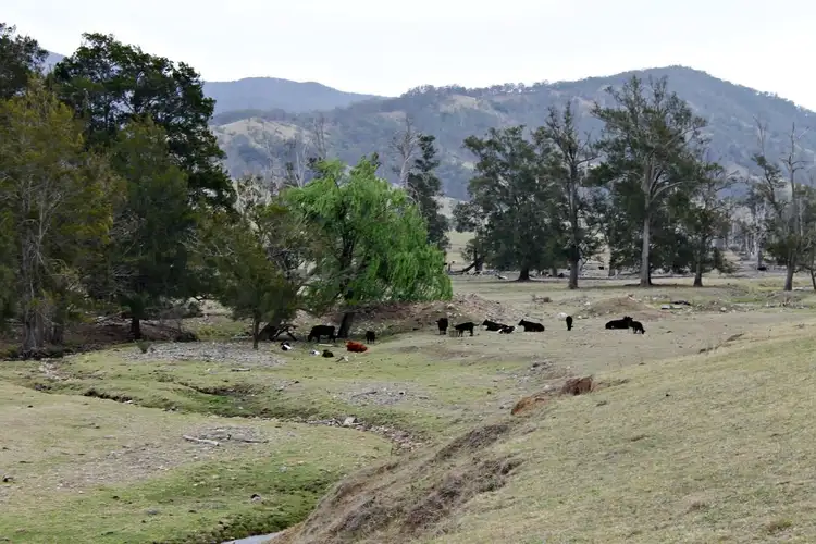 Seventh view of Homely rural property listing, 600 Neringla Road, Araluen NSW 2622