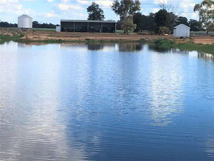 Sixth view of Homely rural property listing, . Oklahoma, Deniliquin NSW 2710