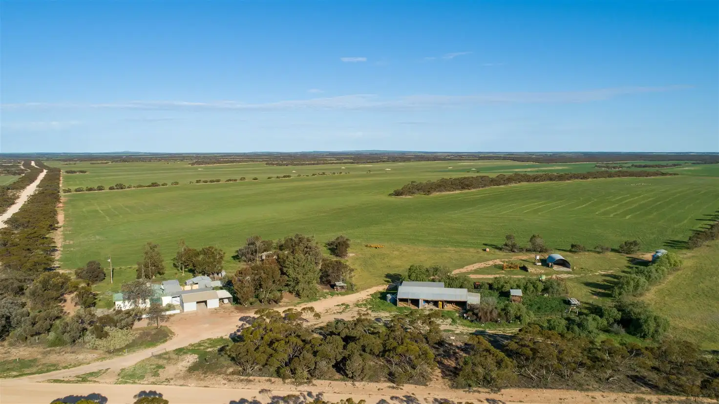 Main view of Homely rural property listing, 1204 Pordia Road, Wudinna SA 5652