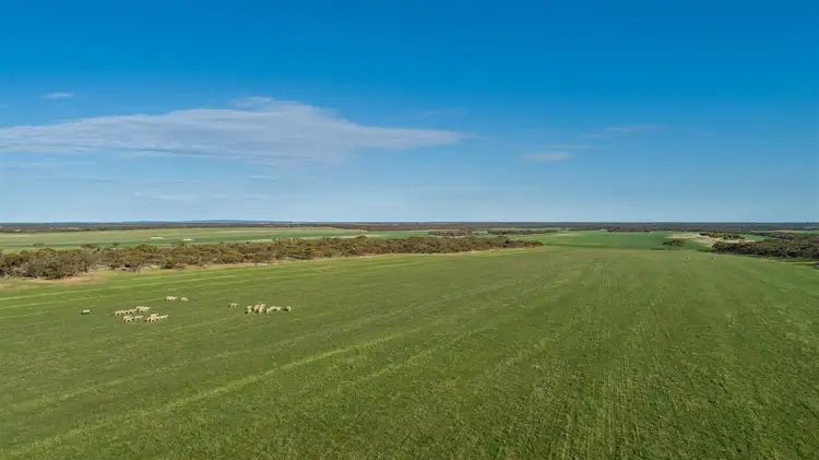 Second view of Homely rural property listing, 1204 Pordia Road, Wudinna SA 5652
