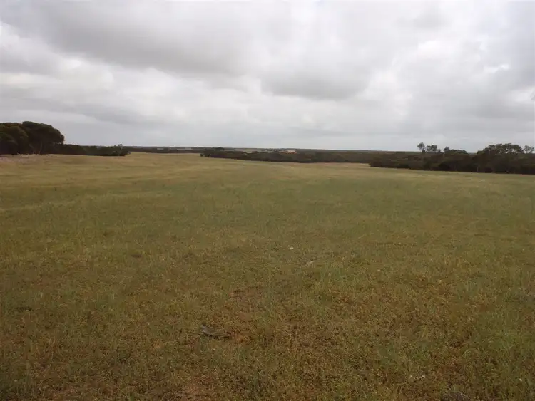 Fifth view of Homely rural property listing, 1204 Pordia Road, Wudinna SA 5652