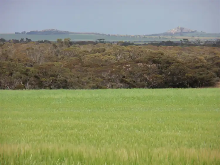 Sixth view of Homely rural property listing, 1204 Pordia Road, Wudinna SA 5652