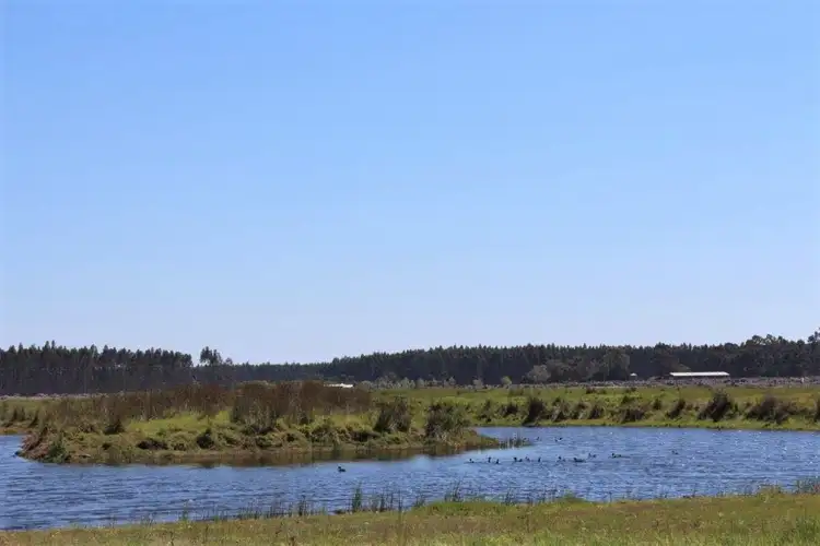 Seventh view of Homely rural property listing, 34204 Albany Highway, Narrikup WA 6326