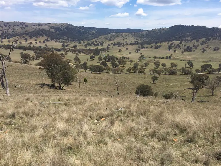Main view of Homely rural property listing, 1141 Crudine Road, Rylstone NSW 2849
