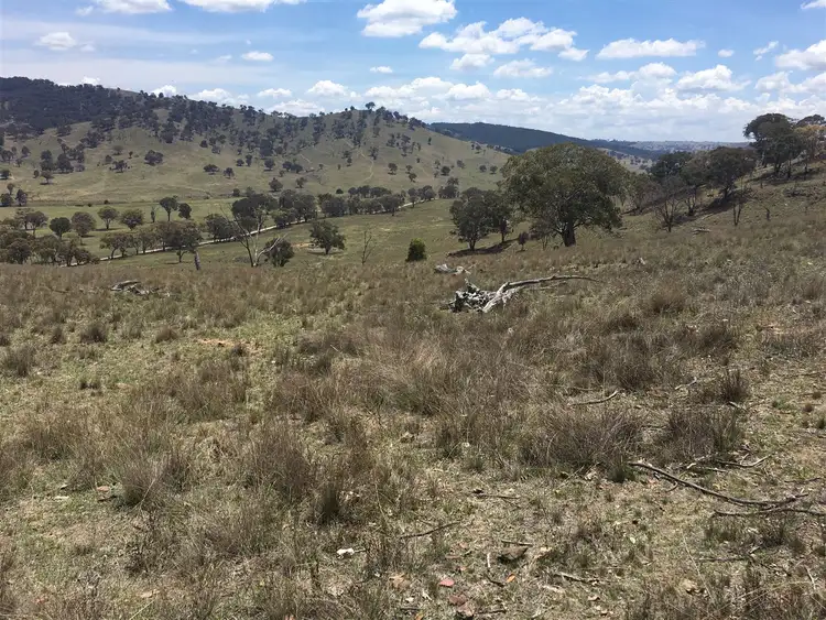 Fourth view of Homely rural property listing, 1141 Crudine Road, Rylstone NSW 2849