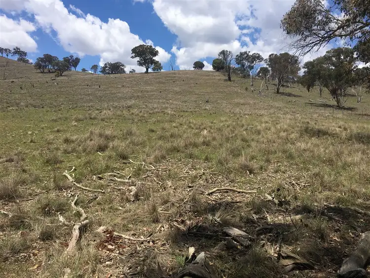 Fifth view of Homely rural property listing, 1141 Crudine Road, Rylstone NSW 2849