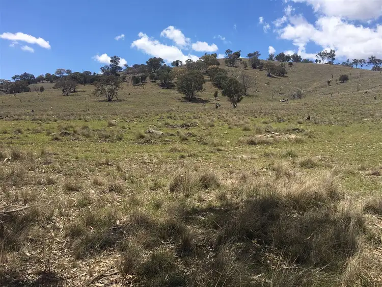 Sixth view of Homely rural property listing, 1141 Crudine Road, Rylstone NSW 2849