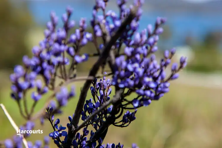 Sixth view of Homely land listing, Lot 1 Glenbervie Road, Dover TAS 7117