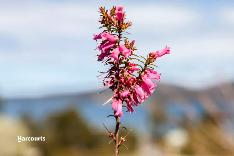 Seventh view of Homely land listing, Lot 1 Glenbervie Road, Dover TAS 7117
