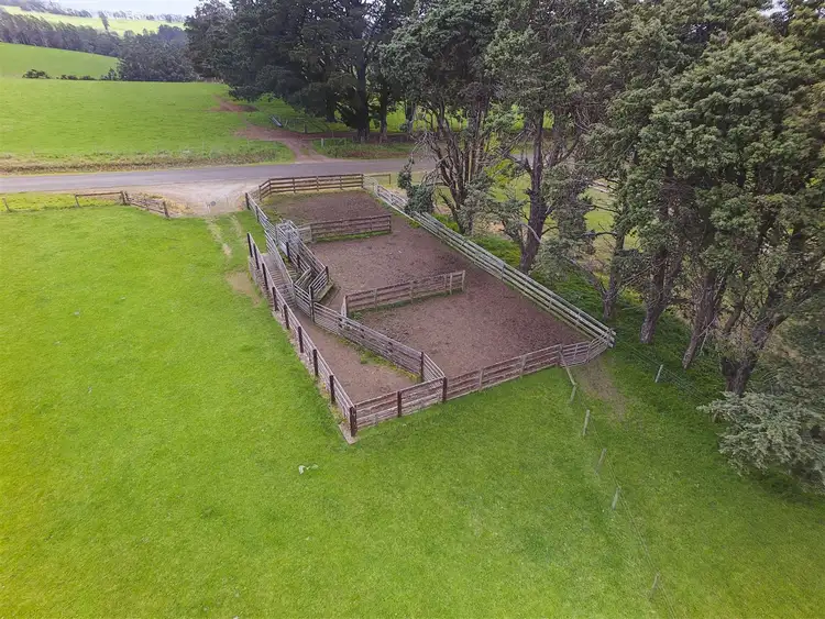 Sixth view of Homely rural property listing, 164 Narracan Connection Road, Narracan VIC 3824