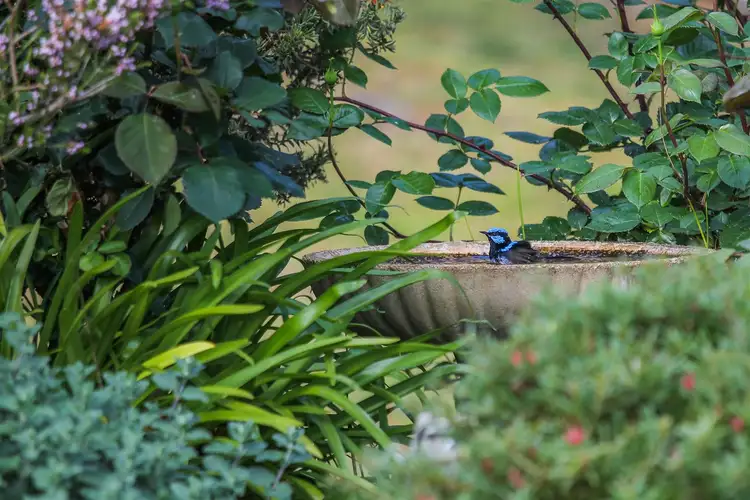 Fifth view of Homely rural property listing, 225 Bunnett Road, Bugle Ranges SA 5251