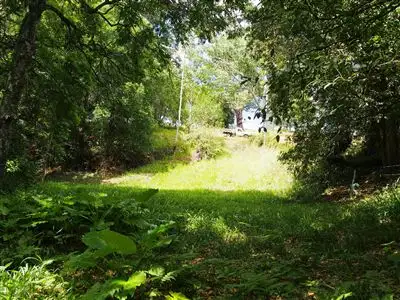 Seventh view of Homely rural property listing, 13 Turpentine Place, Tyalgum NSW