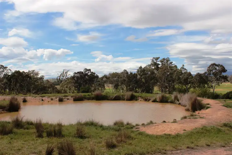 Fifth view of Homely rural property listing, 116 Gordon Street, Alexandra VIC 3714
