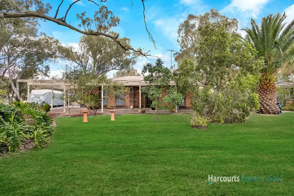 Main view of Homely house listing, 13 Nicholas Court, Lyndoch SA 5351