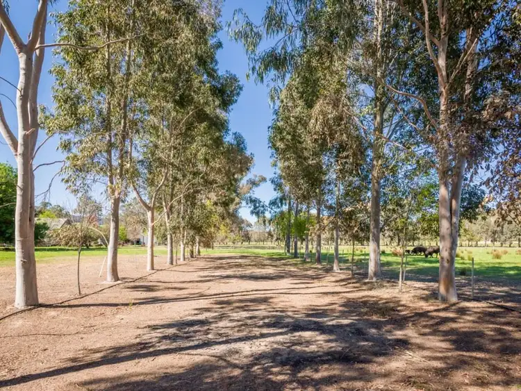 Fifth view of Homely rural property listing, 68 School Road, Boho VIC 3669