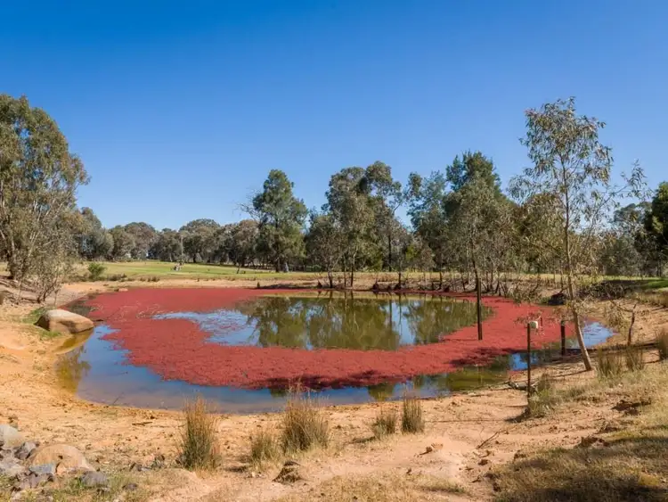Sixth view of Homely rural property listing, 68 School Road, Boho VIC 3669