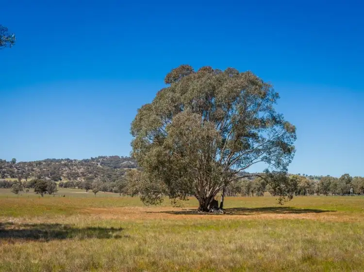 Second view of Homely rural property listing, 554 Creightons Creek Road, Euroa VIC 3666