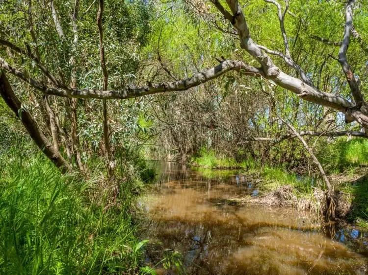 Third view of Homely rural property listing, 554 Creightons Creek Road, Euroa VIC 3666