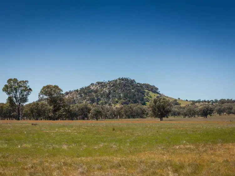 Fifth view of Homely rural property listing, 554 Creightons Creek Road, Euroa VIC 3666