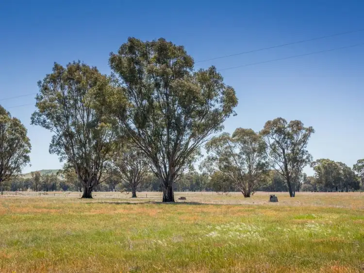 Sixth view of Homely rural property listing, 554 Creightons Creek Road, Euroa VIC 3666